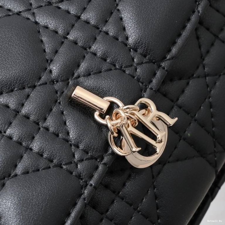 85543 Bags Christian SunProtective Satchel Dior 0705